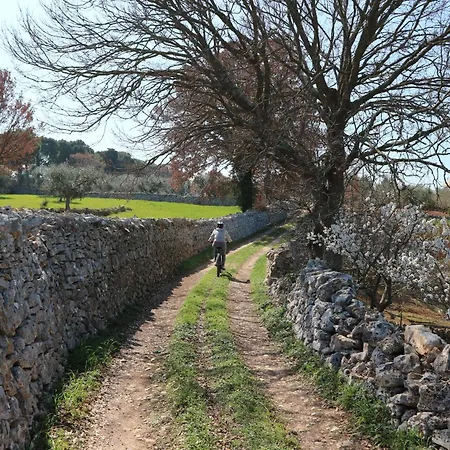 I Trulli Del Sacramento - Alberobello
